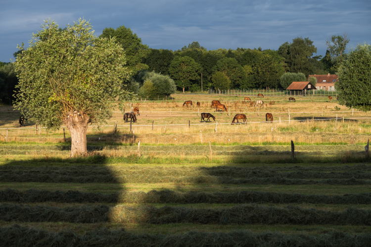 Landschapspark Vlaamse Ardennen - copyright Bjorn Snelders