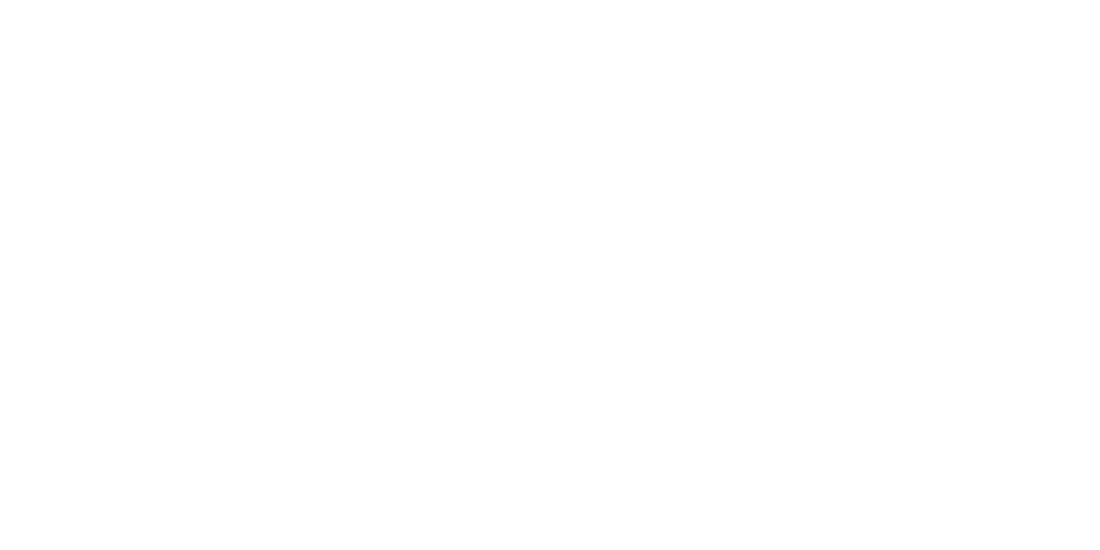 2021-msi-logo-for_digital_use_w.png