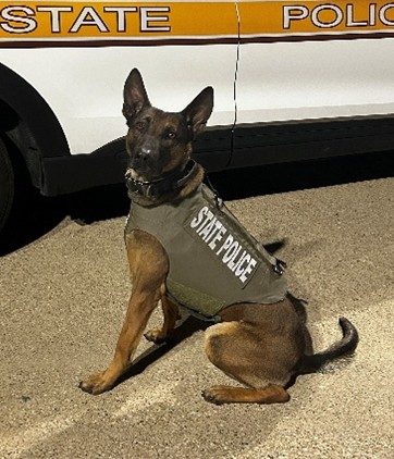 K9 Remco K9 Remco