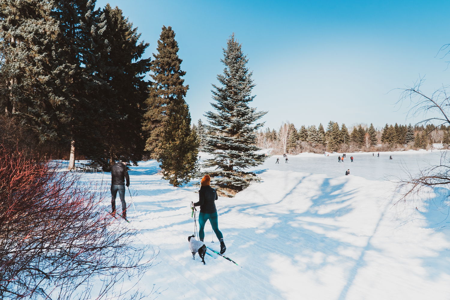 Langlaufen door winterwonderland Edmonton | Credit: EEDC