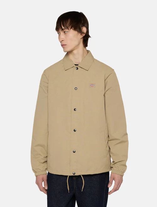 Dickies at SKM_75EUR
