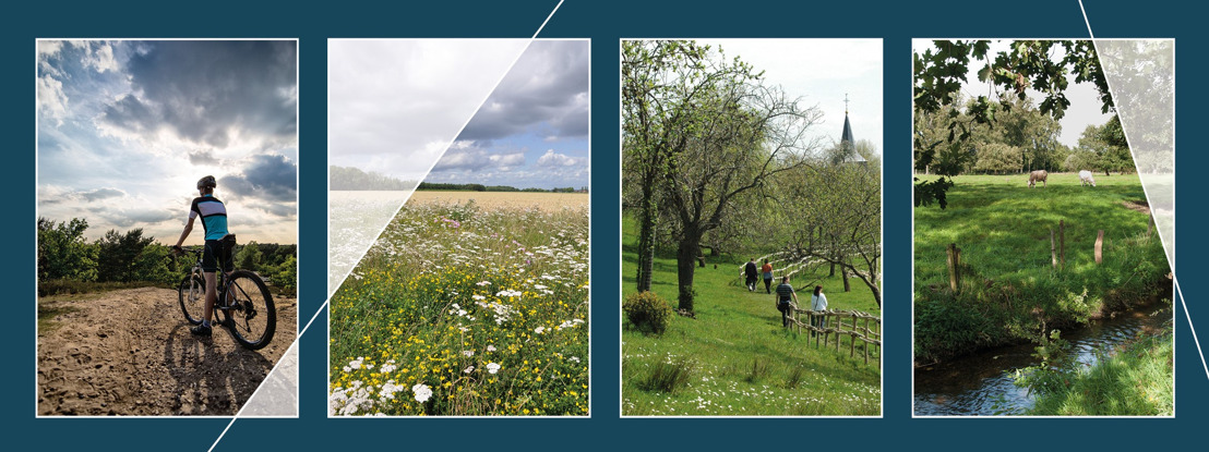 Open ruimte en platteland in transitie: de rol van de Vlaamse Landmaatschappij tussen 2001 en 2018