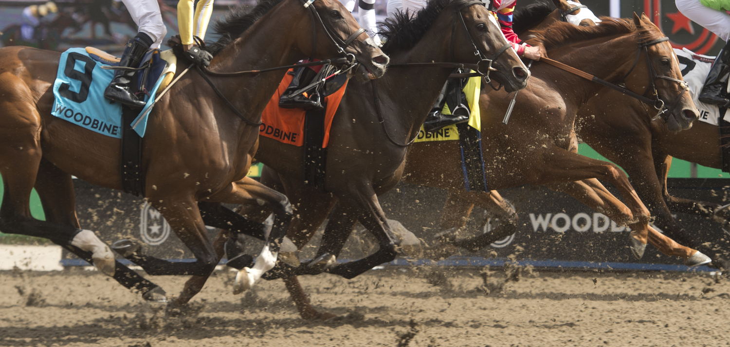 Woodbine Racetrack (Michael Burns Photo)