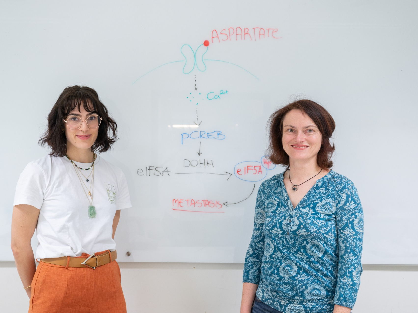 Researchers reveal why the lung is a frequent site of cancer metastasis