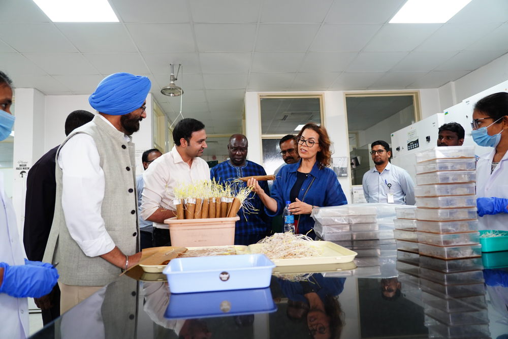Dr Elouafi engages with ICRISAT scientists at the ICRISAT Genebank's seed laboratory