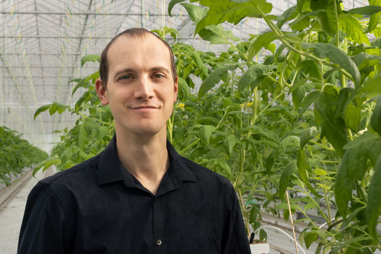 Tom Vlaemynck, Producteur de tomates en grappe Filière Qualité Carrefour