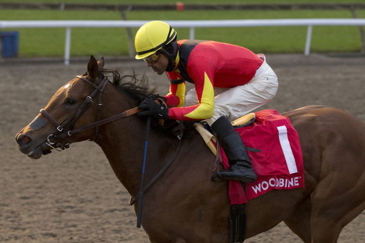 Aubrieta with Patrick Husbands run with confidence to capture the Glorious Song Stakes on October 30, 2021 at Woodbine. (Michael Burns Photo)
