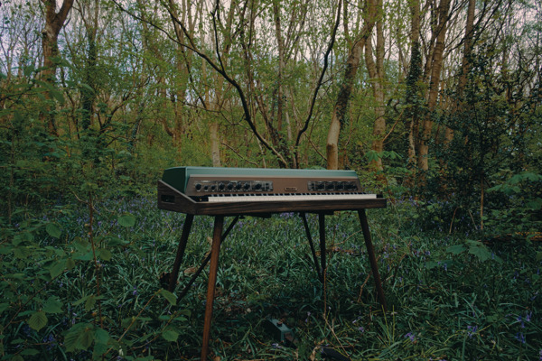 Preview: Rhodes Music Unveils the MK8 Earth Edition Piano: Crafted with Nature in Mind