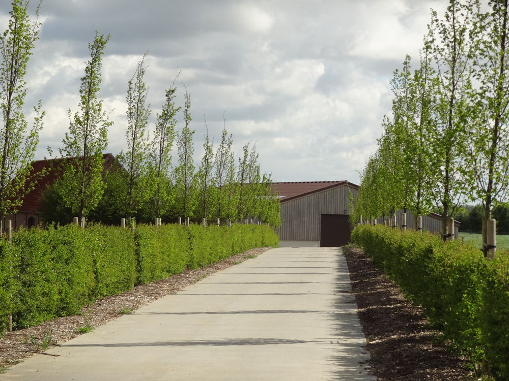 begroeiing oprit landbouwbedrijf