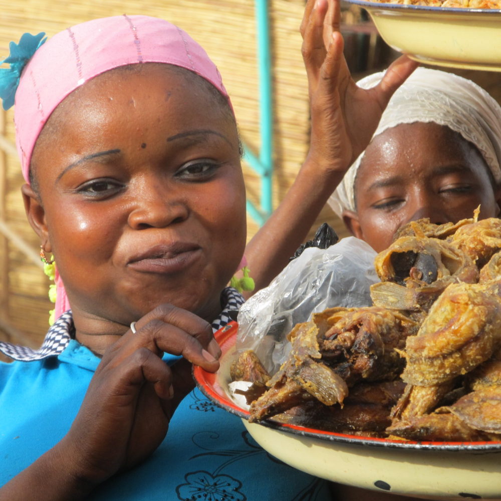 Niger stock images courtesy Feed the Future