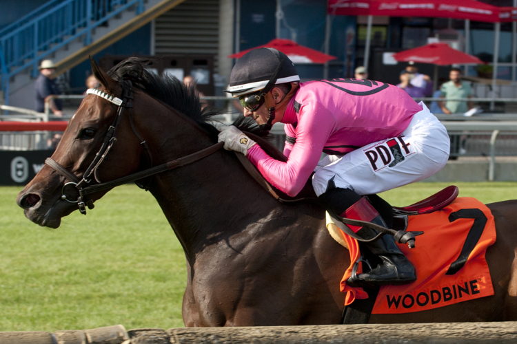 Wakanaka (IRE) takes the first leg of the Ladies of the Lawn Turf Series, winning the Dance Smartly Stakes G2 at Woodbine. (Michael Burns Photo)
