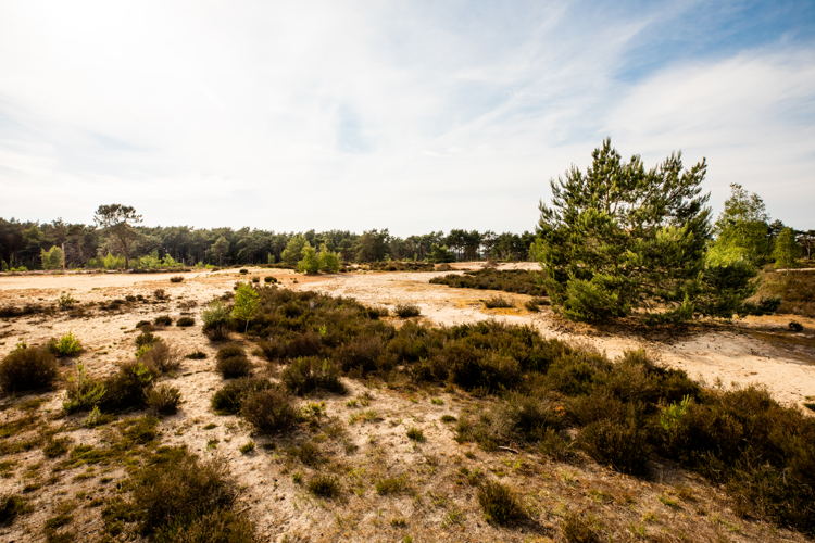 Kalmhoutse Heide © VisitBrabant