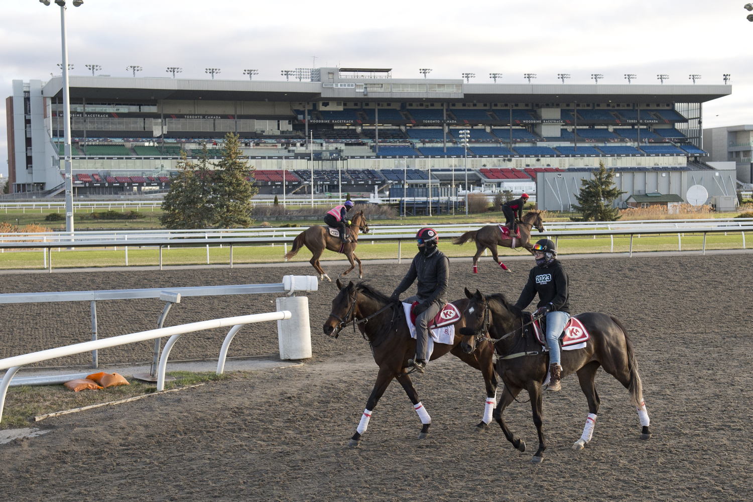 Horses prep for Opening Day 2025 (Michael Burns Photo)