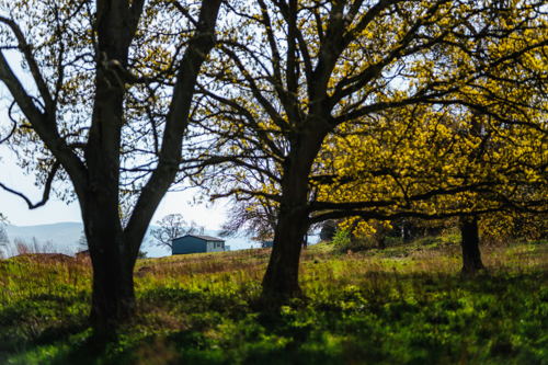 Brynmorflodgepark 23