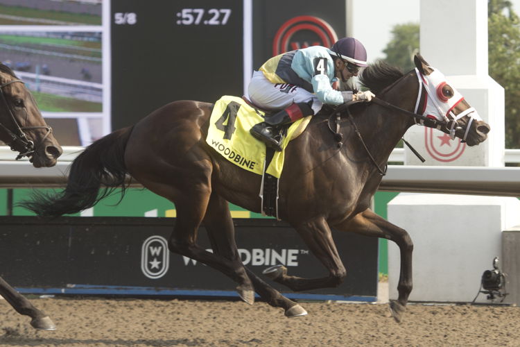 Pleasure's Gold and jockey Rafael Hernandez winning the Bellade Stakes on July 13, 2024 at Woodbine (Michael Burns Photo)