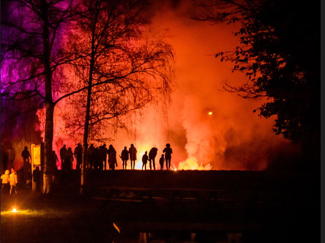 Winterlicht betovert Provinciedomein Het Vinne op 22 november