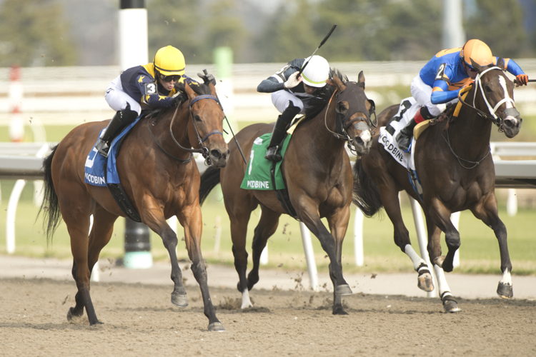 Sabatini and jockey Sofia Vives winning the Star Shoot Stakes on Opening Day (April 27) 2024 at Woodbine (Michael Burns Photo)