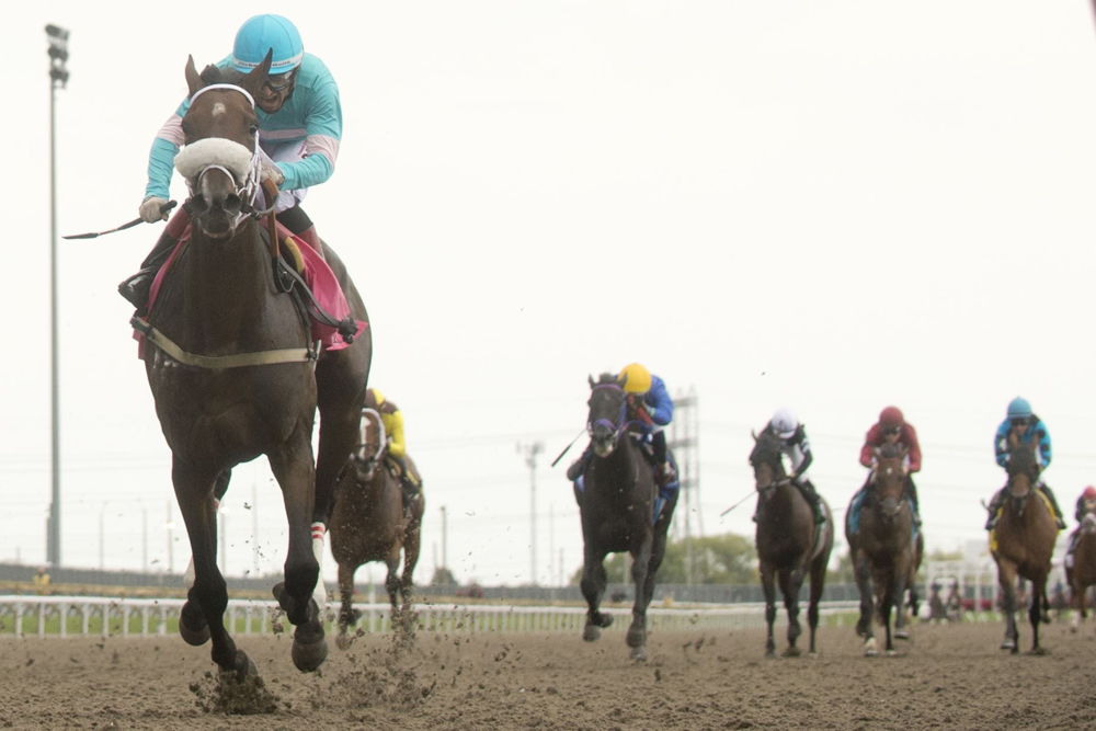 Moira and jockey Rafael Hernandez winning the 163rd Queen's Plate at Woodbine (Michael Burns Photo)