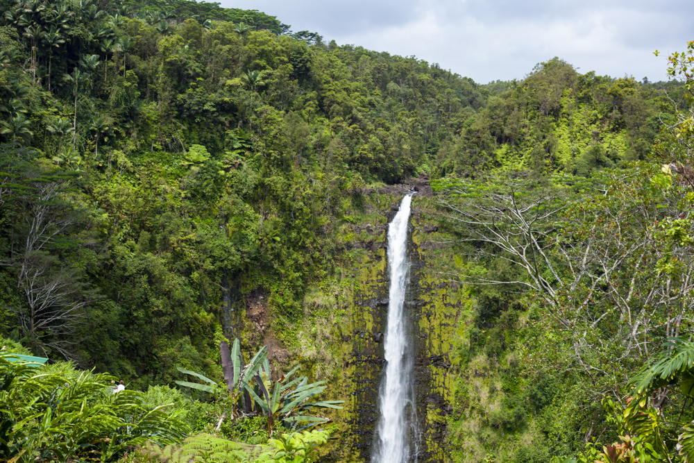 Akaka Fall State Park, Hawaii