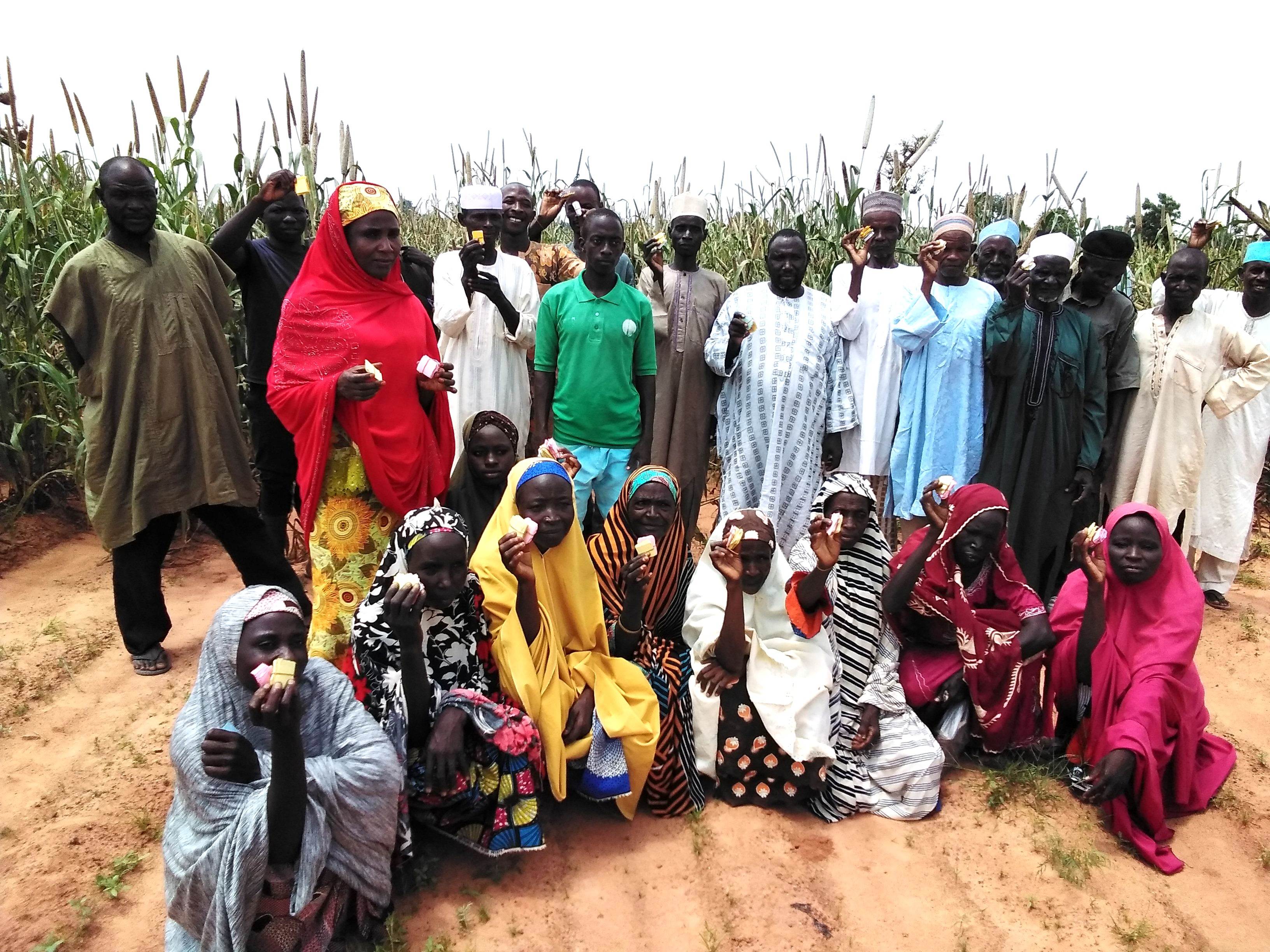 Des participants pendant le processus de sélection des nouvelles variétés agricoles. Des participants pendant le processus de sélection des nouvelles variétés agricoles.