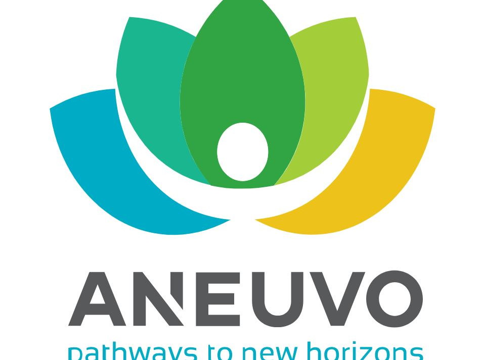 ANEUVO Launches US Study of ExaStim, a Non-invasive Spinal Neuromodulation System to Evaluate its Safety and Effectiveness for Paralysis due to Spinal Cord Injury