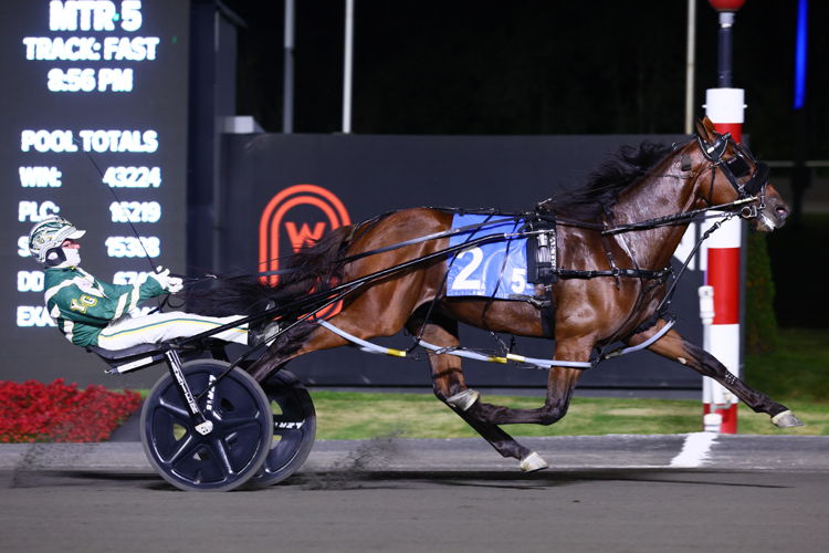 Captain Optimistic and driver Yannick Gingras winning the first Metro Pace Elimination on September 14, 2024 at Woodbine Mohawk Park (New Image Media) Captain Optimistic and driver Yannick Gingras winning the first Metro Pace Elimination on September 14, 2024 at Woodbine Mohawk Park (New Image Media)