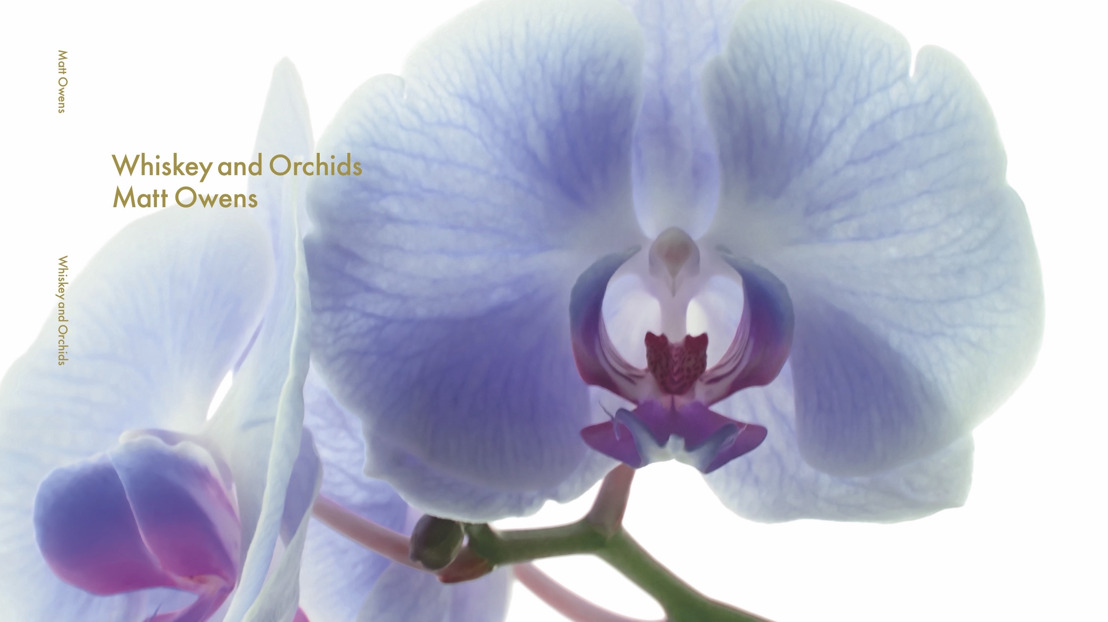 MATT OWENS — Whiskey & Orchids