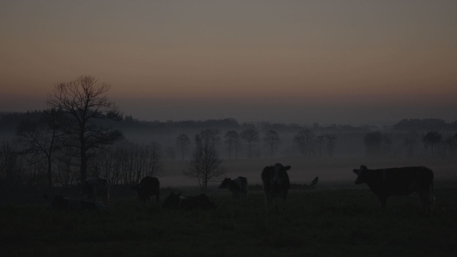 Bretagne (c) VRT