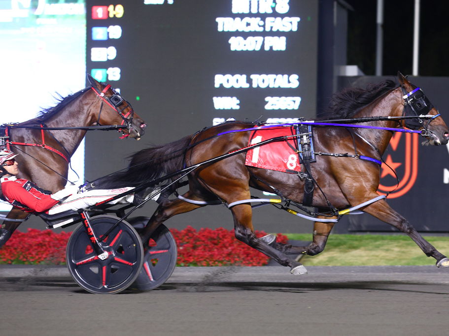 Sylvia Hanover and Twin B Joe Fresh to meet in Milton 
