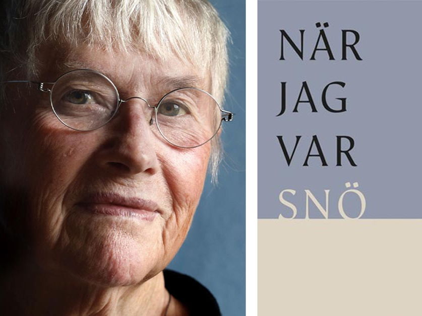 Aniarapriset tilldelas Ingela Strandberg