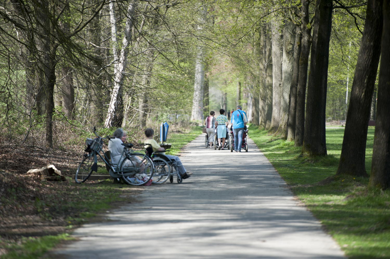 Het Leen wandelpaden