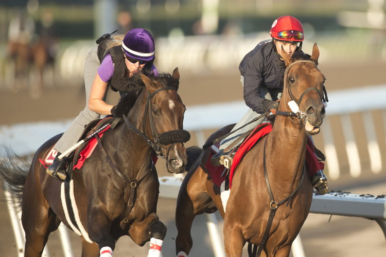 Wickenheiser (inside) breezing with Moira (outside) at Woodbine (Michael Burns Photo) Wickenheiser (inside) breezing with Moira (outside) at Woodbine (Michael Burns Photo)