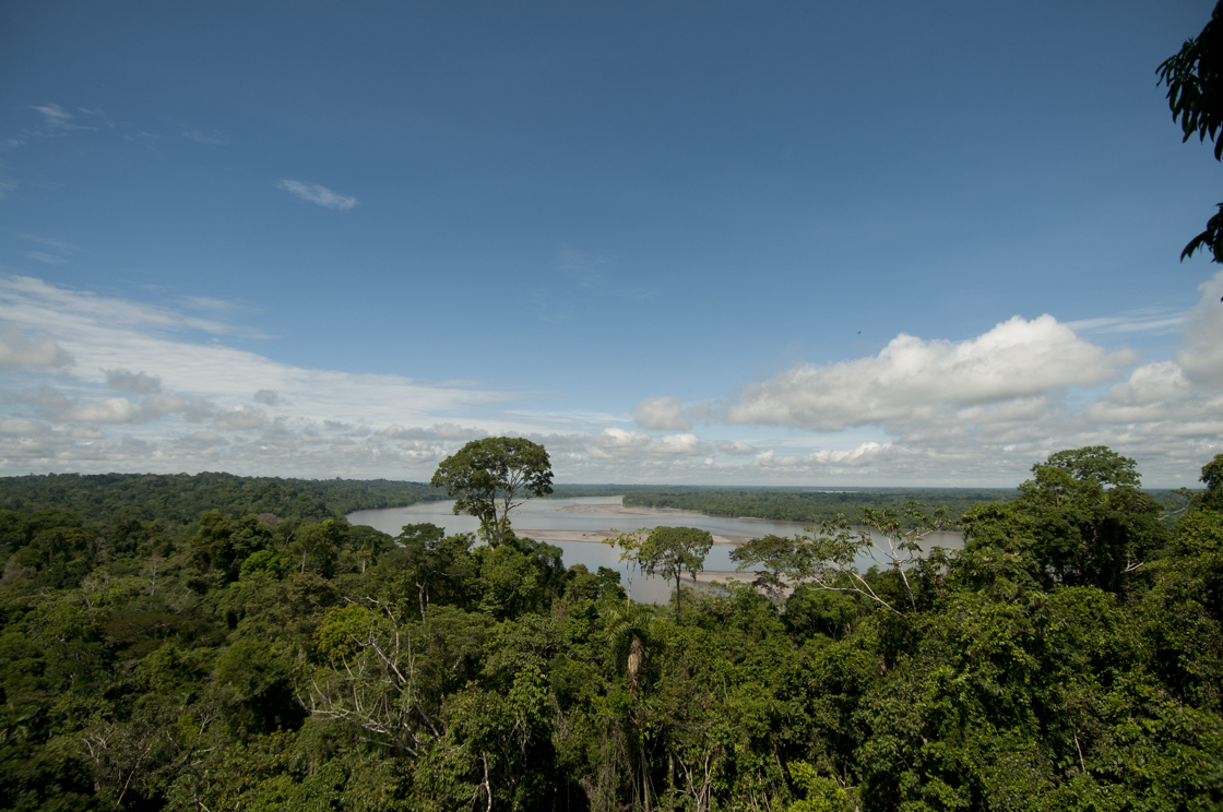 Ecuador stemt in historisch referendum voor stopzetting oliewinning in Amazone 