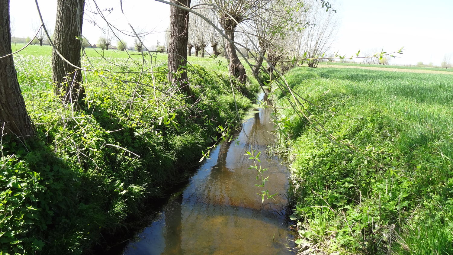 waterelementen