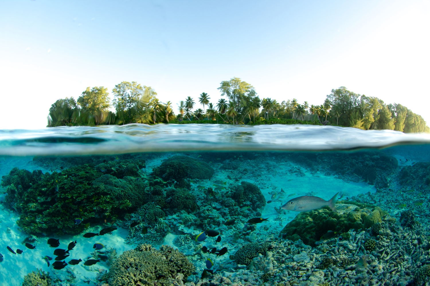 Seychellen-3