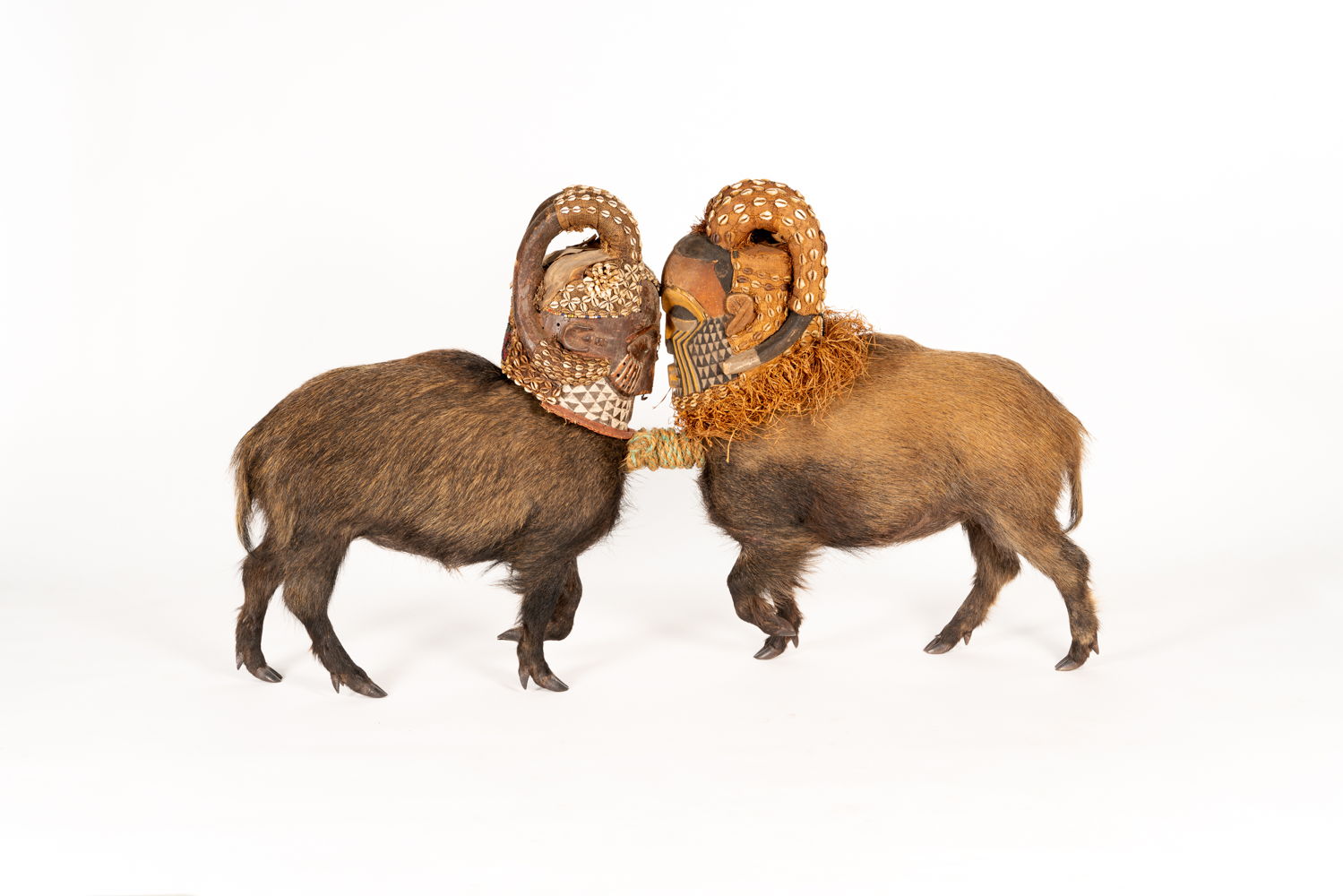 Koen Vanmechelen, Telepathic, Taxidermy boar, taxidermy pig (LUCY), wooden African masks and rope, 150 x 35 x 88 h cm  © Koen Vanmechelen, 2021, photo by Kris Vervaeke