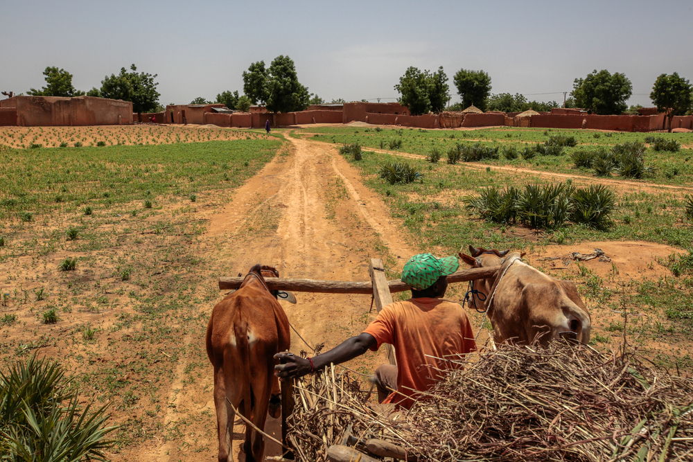 Un agricultor cultiva cerca del pueblo de Riko, Estado de Katsina, Nigeria, junio de 2022. © George Osodi 