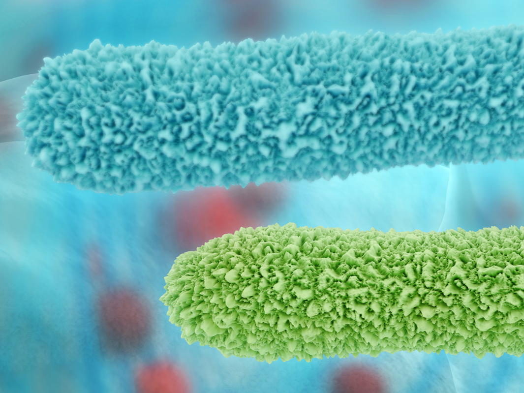 "Bacteria are brilliant chemists" 
