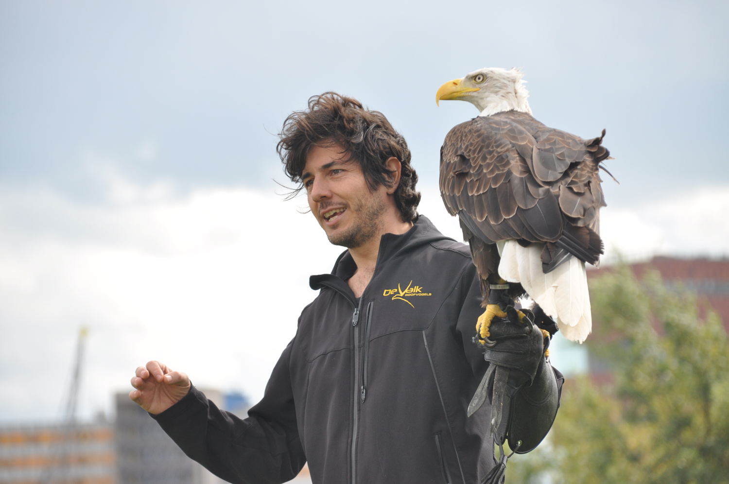 Copy beest- de roofvogel (c) VRT
