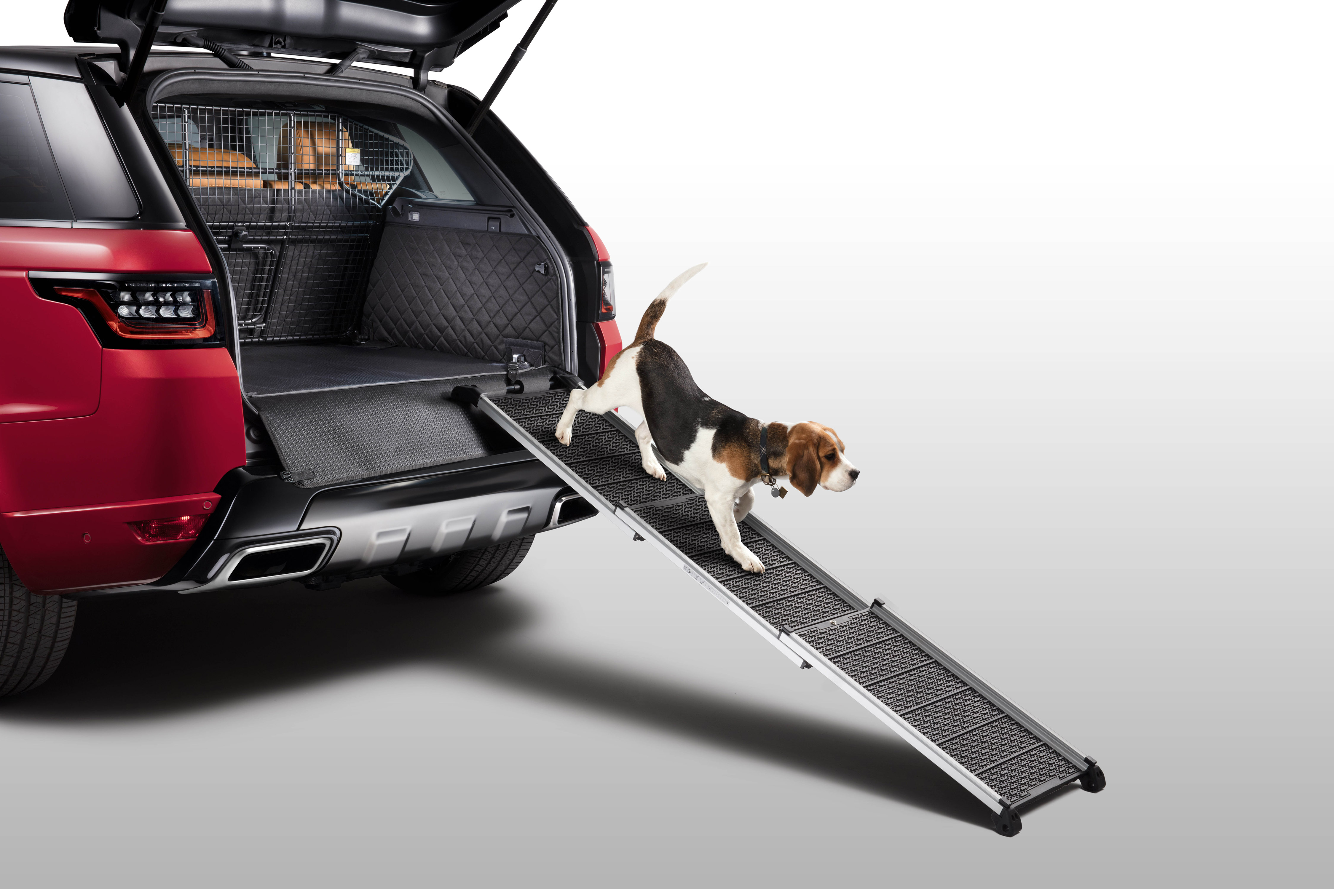 Land Rover lance des accessoires dédiés aux chiens