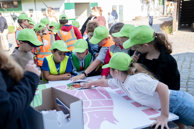 BOOST in Mol - spel