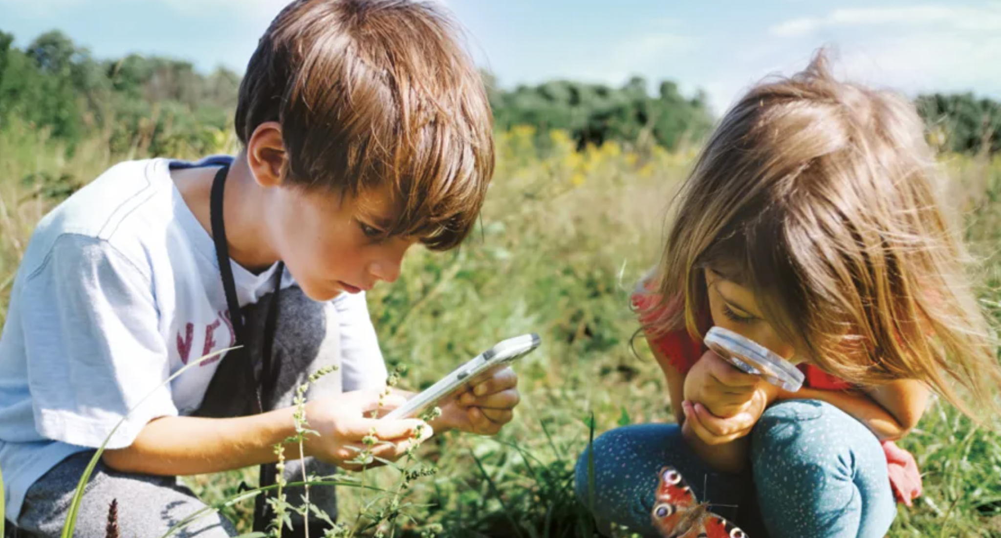 Vlaamse overheid en Belgische natuurpartners schakelen burgers in om biodiversiteit in kaart te helpen brengen