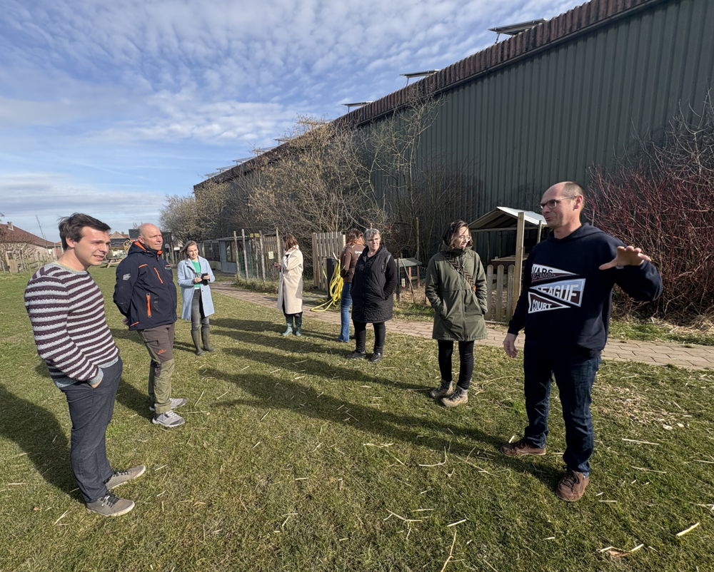 Fruit-varkens-Groene Zorg en belevingsboerderij in Wijer