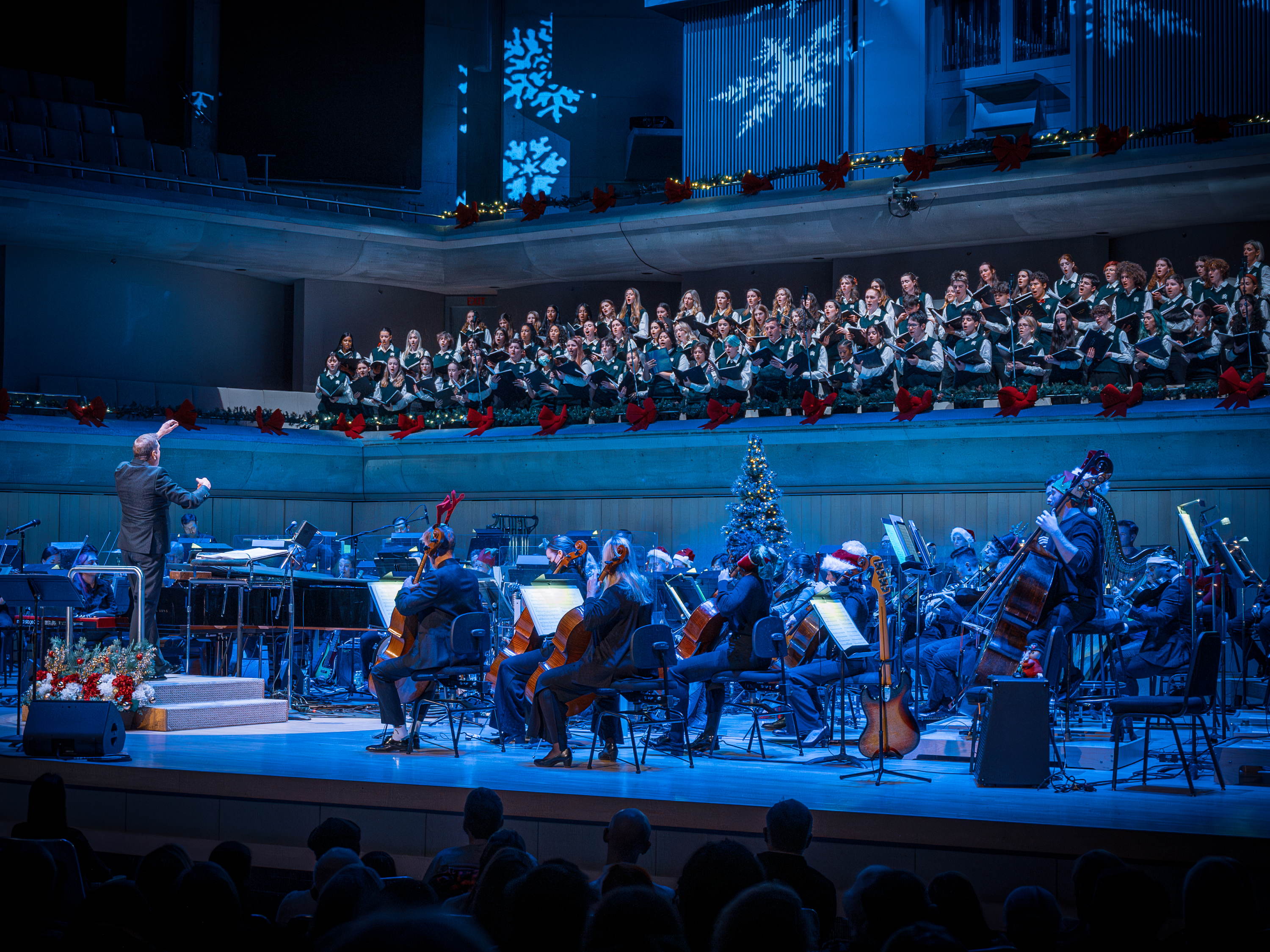 Holidays at the TSO