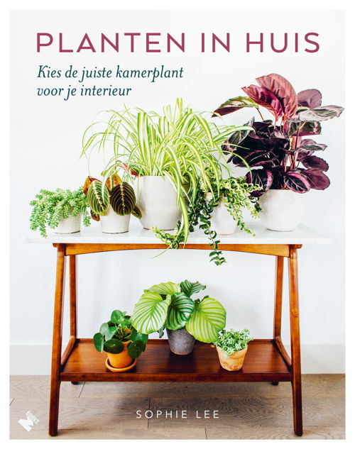 Planten in huis - Sophie Lee