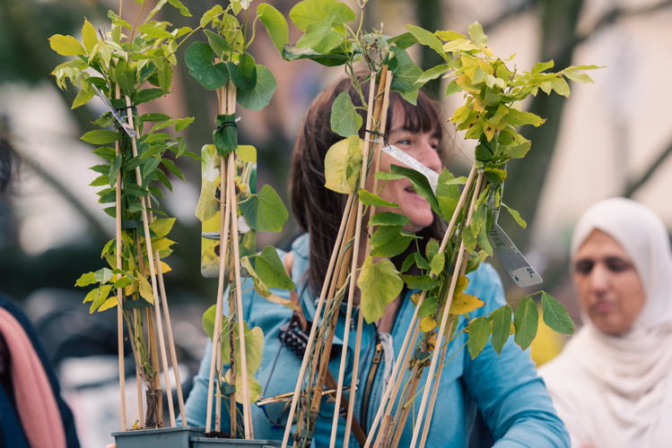 Uitdelen van bestelde plantjes ©Wim Hadermann