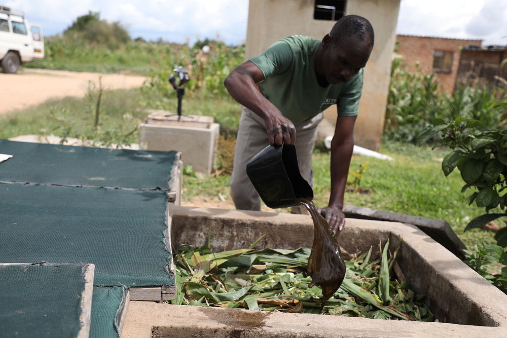 A liquid called ‘worm tea’ is poured over the bio-waste to remove unpleasant smells from the composter and speed up the composting process. Worm tea is made by soaking worm manure in water, which creates a liquid that is rich in nutrients and can also be used as liquid fertliser. Photographer: Manzongo John