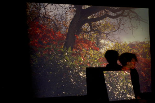Evelien Cammaert, Glowachrome Garden © Evelien Cammaert