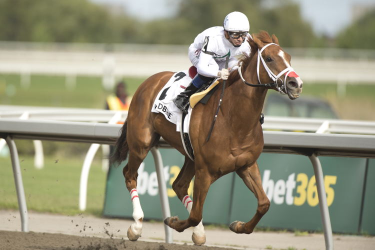 Caitlinhergrtness and jockey Rafael Hernandez winning the Belle Mahone Stakes (G3) on May 31, 2025 at Woodbine (Michael Burns Photo)