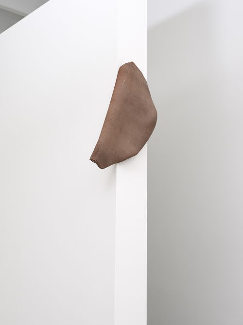Katinka Bock Palomar, 2020 Courtesy the artist and Galerie Greta Meert